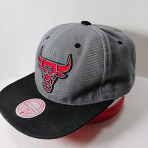 Chicago Bulls Hat Cap Snapback Gray NBA Basketball Mitchell & Ness Mens